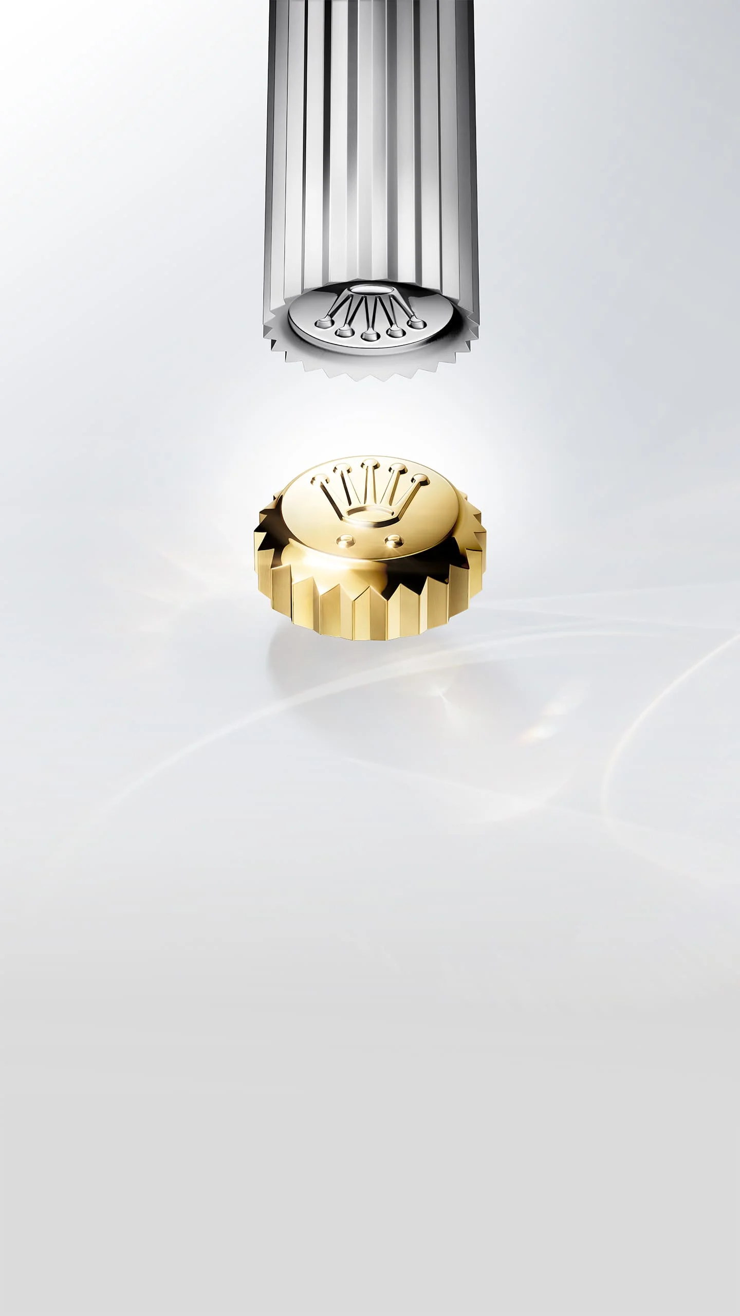 Excelencia en desarrollo Rolex