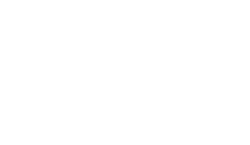 Franck Muller logo