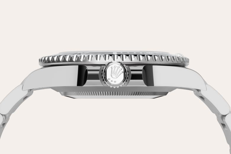 Rolex Material | Zanotti Joyas