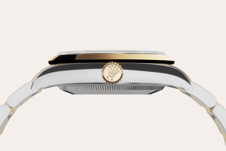 Rolex Material | Zanotti Joyas