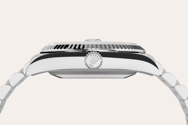 Rolex Material | Zanotti Joyas