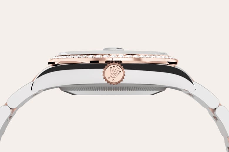 Rolex Material | Zanotti Joyas