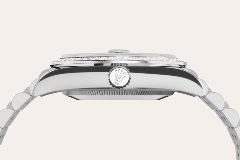 Rolex Material | Zanotti Joyas