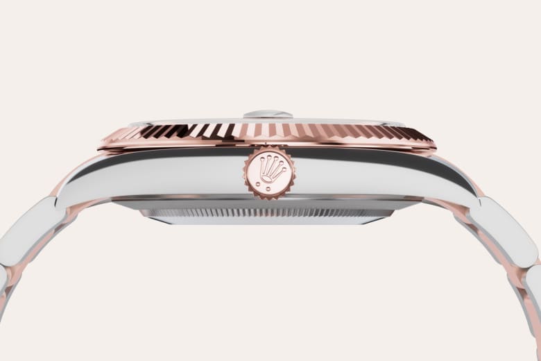 Rolex Material | Zanotti Joyas