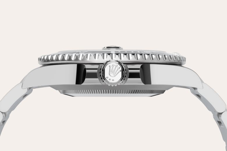 Rolex Material | Zanotti Joyas