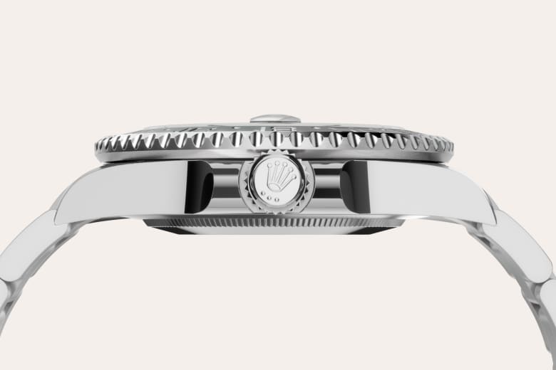 Rolex Material | Zanotti Joyas
