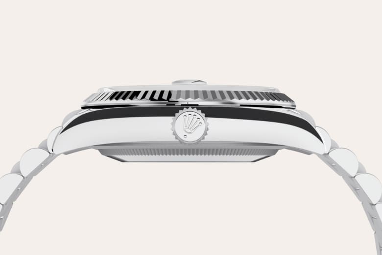 Rolex Material | Zanotti Joyas