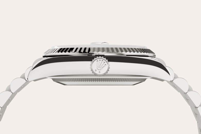 Rolex Material | Zanotti Joyas