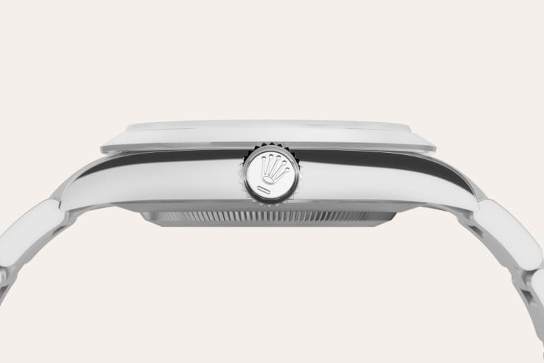 Rolex Material | Zanotti Joyas