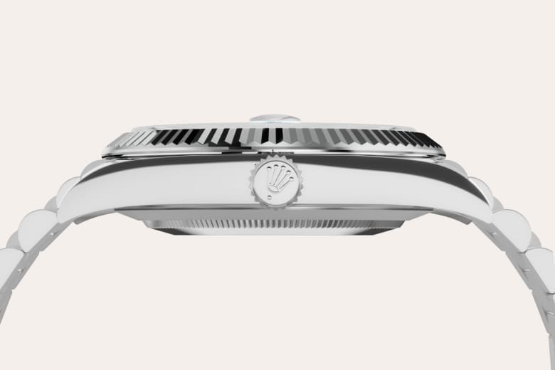 Rolex Material | Zanotti Joyas