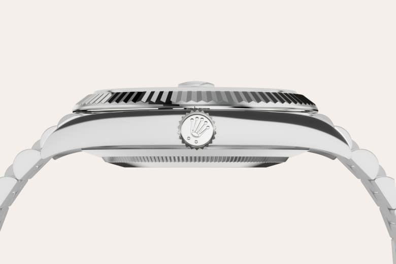 Rolex Material | Zanotti Joyas