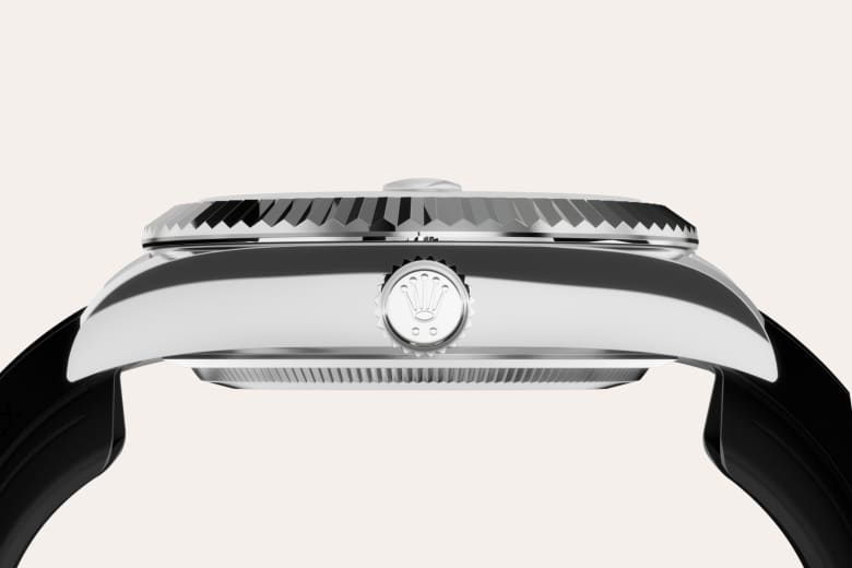 Rolex Material | Zanotti Joyas