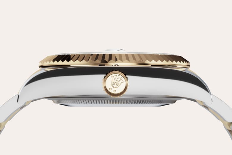 Rolex Material | Zanotti Joyas