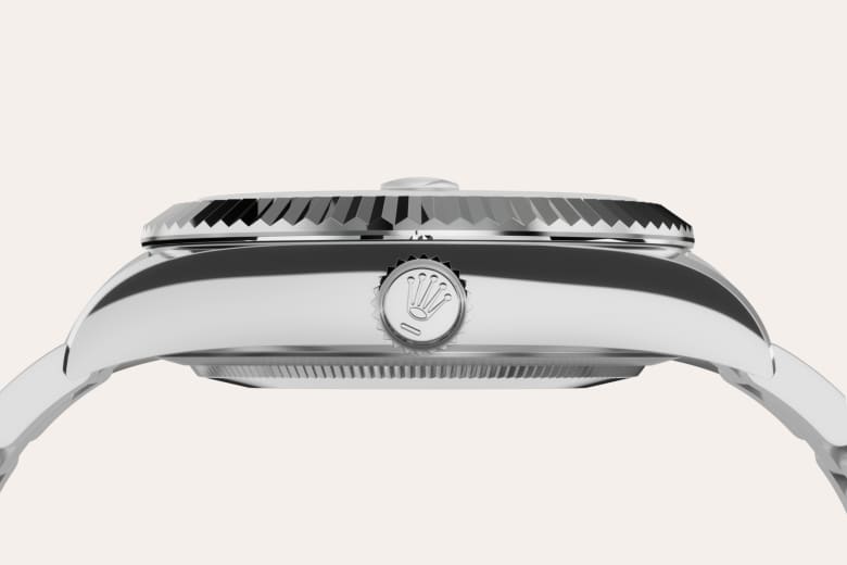 Rolex Material | Zanotti Joyas