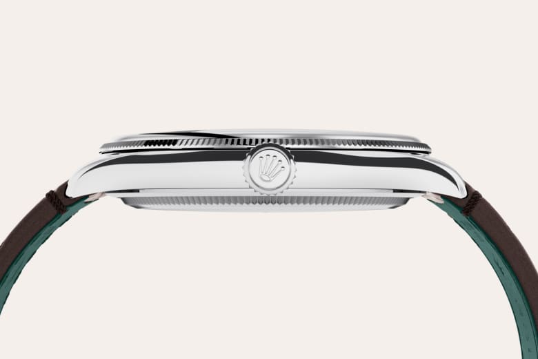 Rolex Material | Zanotti Joyas