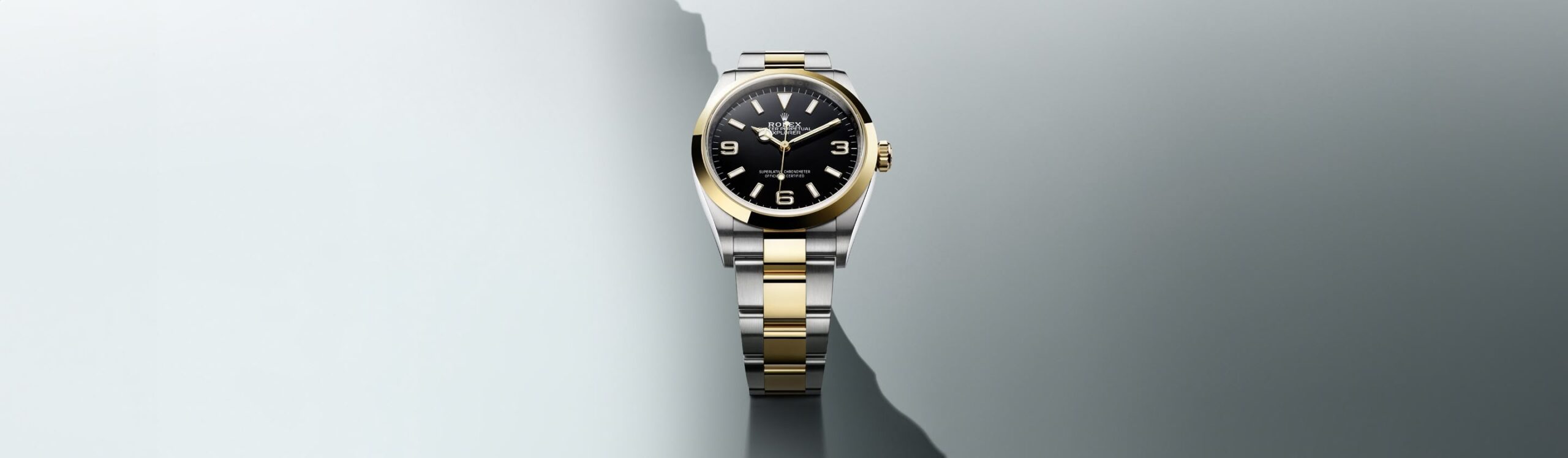 Rolex Explorer Cover