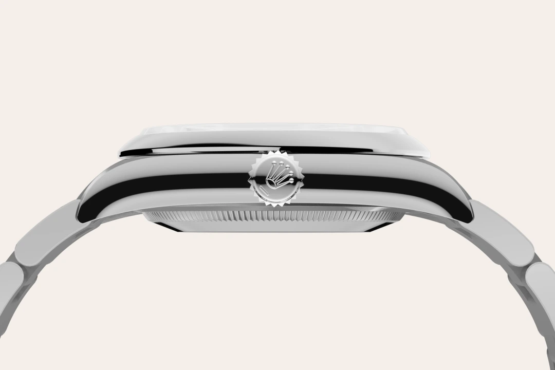 Rolex Material | Zanotti Joyas