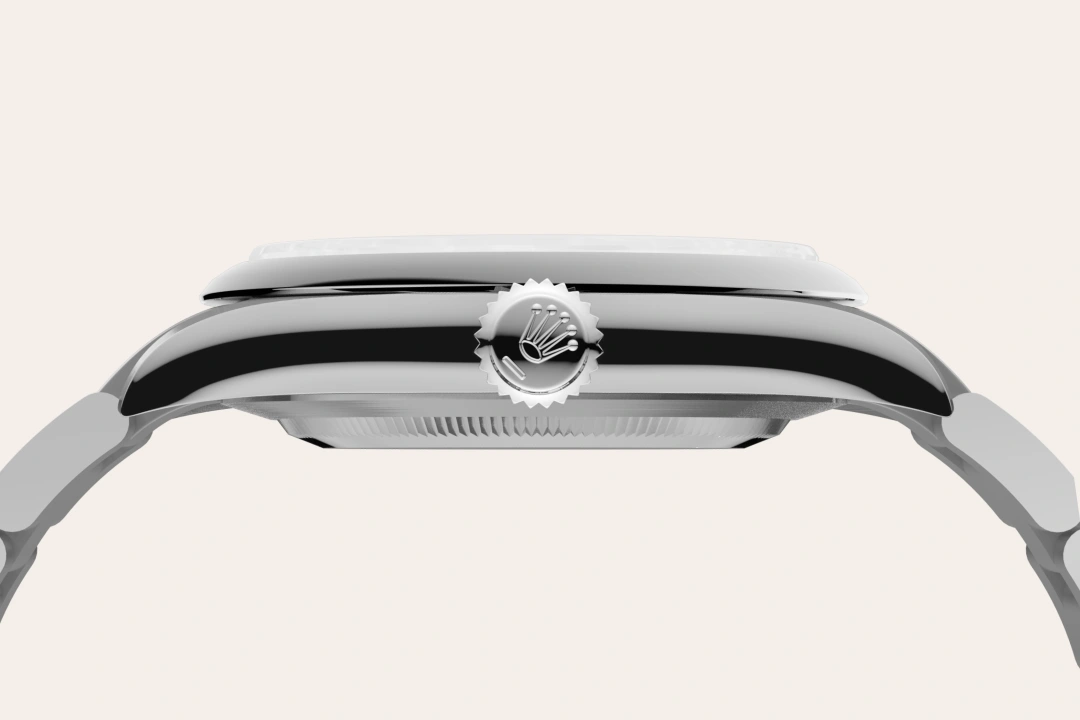 Rolex Material | Zanotti Joyas