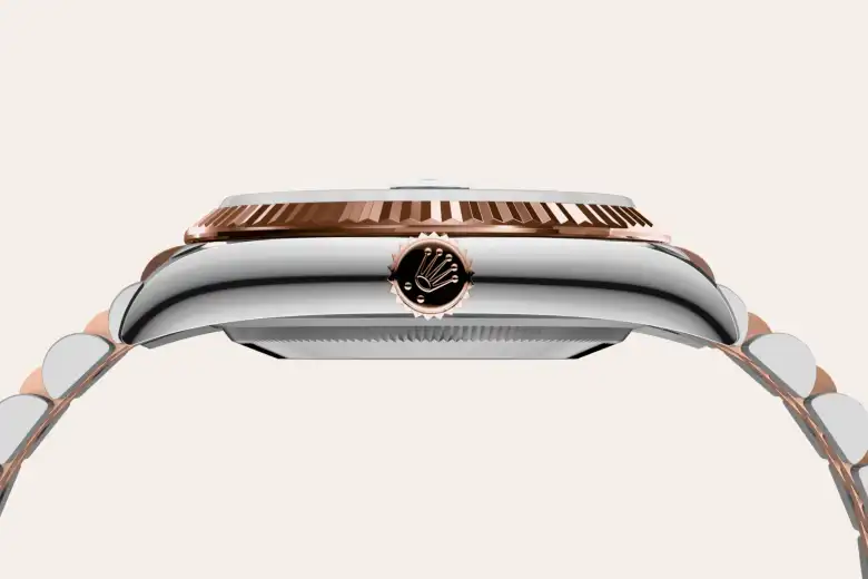Rolex Material | Zanotti Joyas