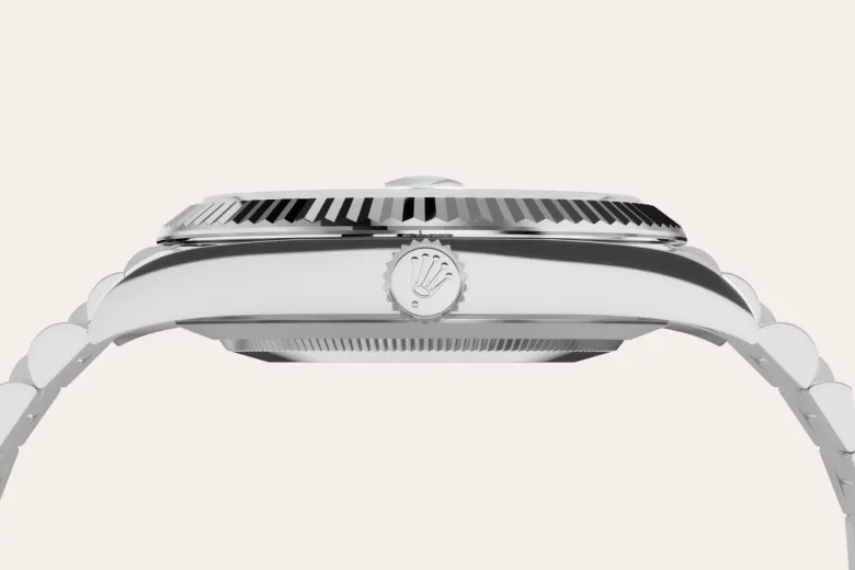 Rolex Material | Zanotti Joyas