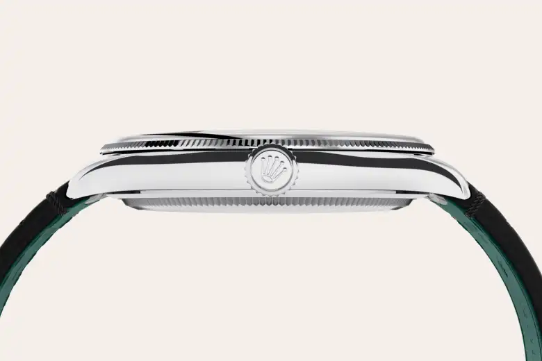 Rolex Material | Zanotti Joyas