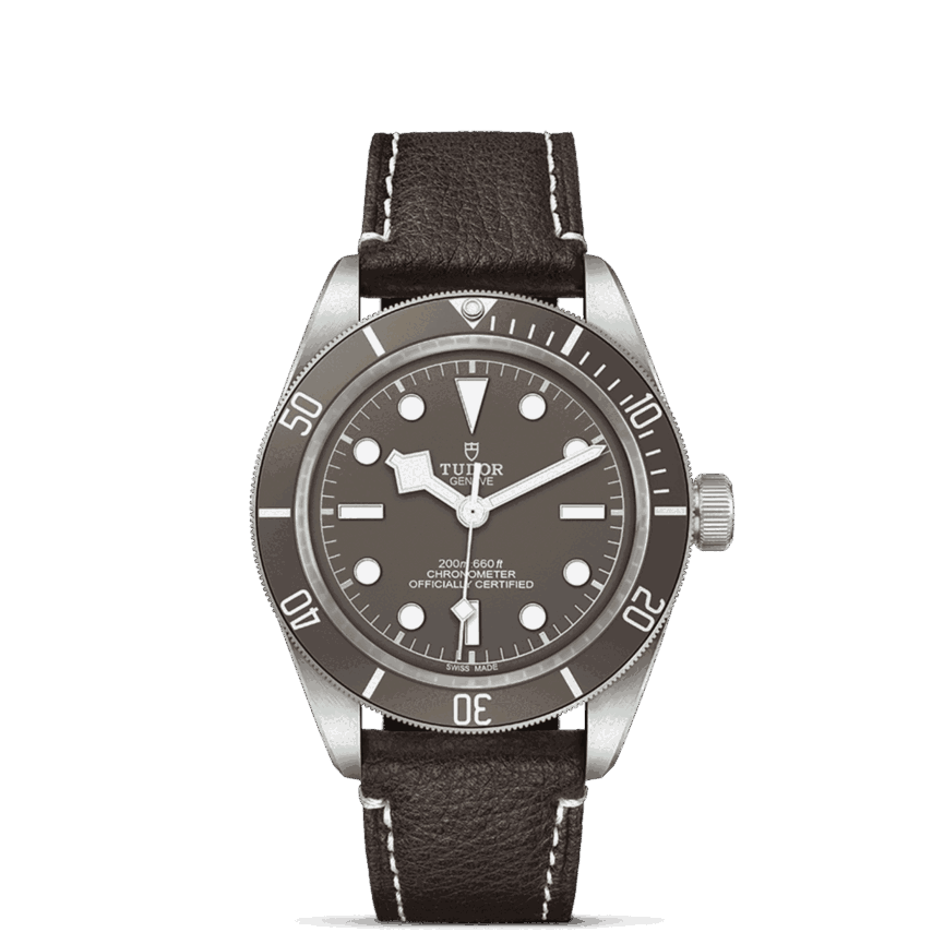 zoomed upright cb tudor m79010sg 0001 - Zanotti Joyas