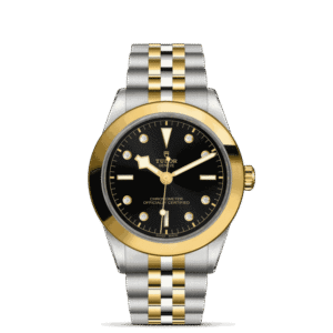 Black Bay One 39 S&G