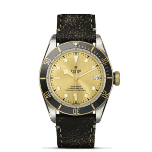 zoomed upright cb tudor m79733n 0003 - Zanotti Joyas