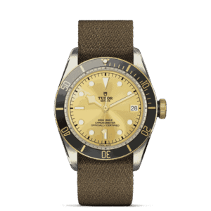 zoomed upright cb tudor m79733n 0006 - Zanotti Joyas